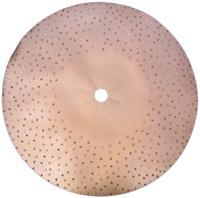 Rental store for 17 COPPER CARBIDE DISK W PLATE in Duluth MN
