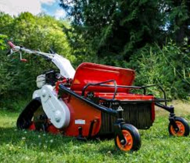 Rental store for MOWER, FLAIL BRUSH in Duluth MN